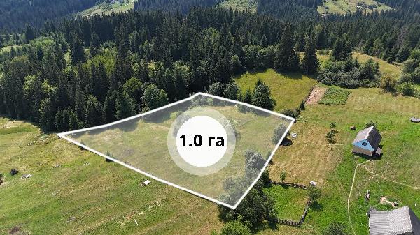 земля продам село Яблуниця, фото 1 з 5